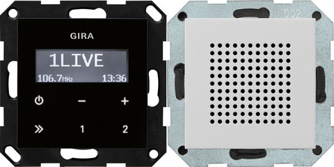 Gira RDS FM radio speaker System 55 grey m(lac.) — manufacturer representative image