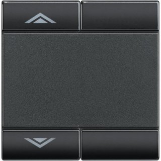 BTicino Key cover for 2 functions with with screen printing UP-DOWN — L4911M2AHN