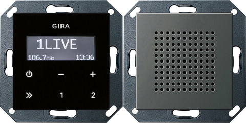Gira RDS FM radio speaker System 55 stainl.steel — manufacturer representative image