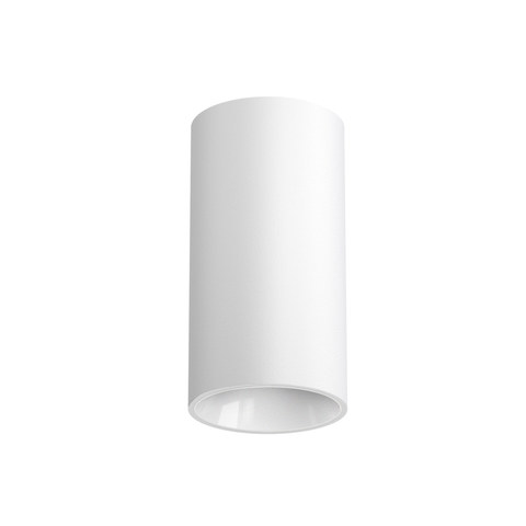Flos Light Shadow Pro Ø45 Surface Flood — manufacturer representative image
