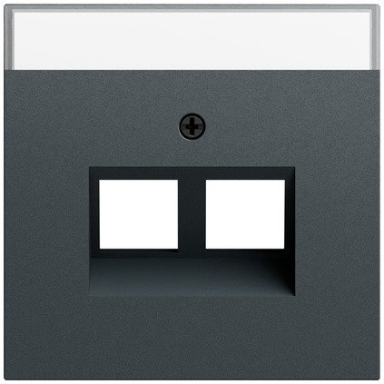 Gira Cover with 30° angled socket outlet and inscription space for support ring Modular Jack, 2-gang anthracite (lacquered) — 264073