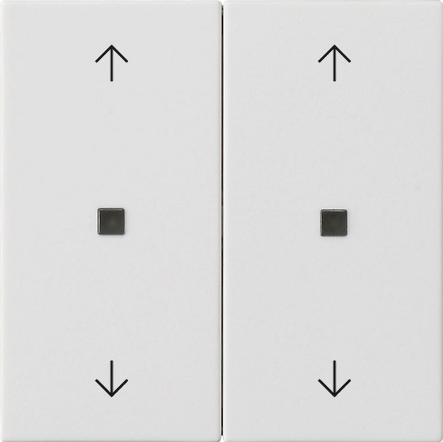 Gira rocker 2-g arrows ctrl.win. System 55 p.white m — 538627