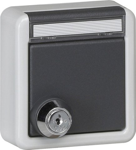 Gira SCHUKO socket outlet 16 A 250 V~ with hinged cover, inscription space and lock (upper housing section) with different lock types — grey — 456735
