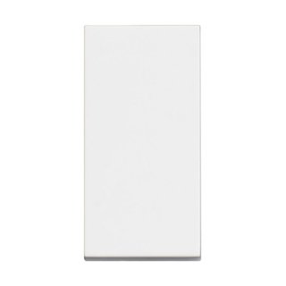 BTicino One-way switch 1P 10 AX - 250 Vac — RW4001