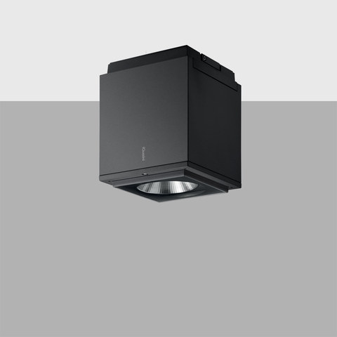 iGuzzini iPro 192mm ceiling mounted — EQ17 — manufacturer representative image
