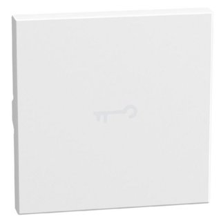 BTicino lightable key cover with key symbol, 2 modules white, axial — YW4916FM2
