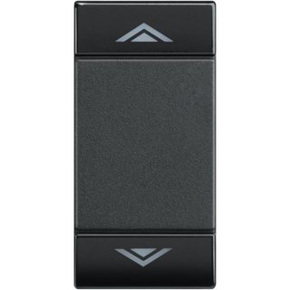 BTicino Key cover for 2 functions with illuminated lens - with screen printing UP DOWN — L4911AHN