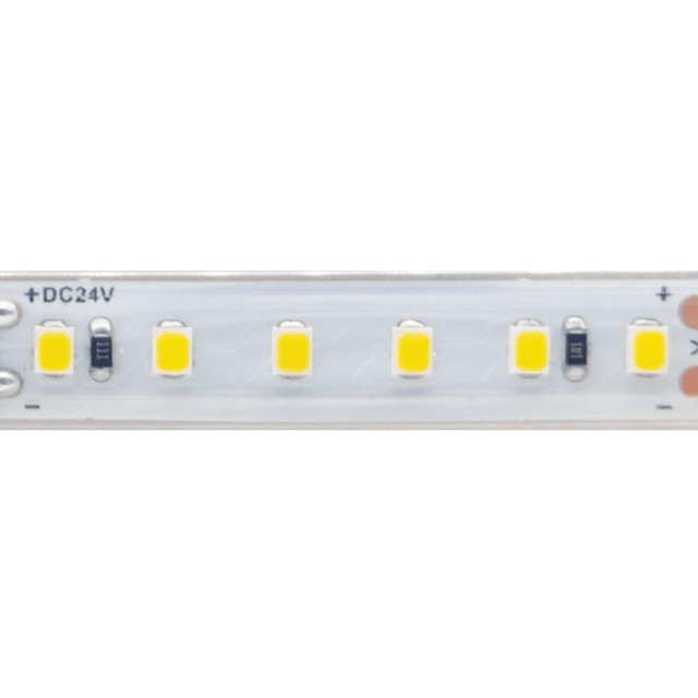 ACA Lighting P/O LED SMD STRIP 24V DC 16W/M 4000K 1680LM/M IP66 12MM CRI80 OSRAM 2835 120LEDS/M 3SDCM 5M REEL 5YRS — 24168040PC — manufacturer representative image