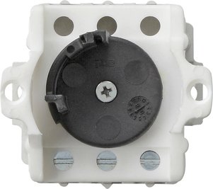 Gira Key switch insert 10 AX 250 V~ Button, 1-pole — 143500