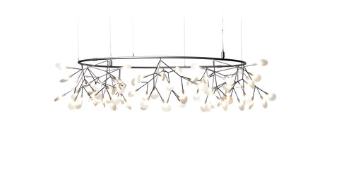 Moooi Heracleum III The Big O Small, Nickel — manufacturer image
