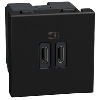 BTicino Double USB socket - 2 x Type-C 30W - 2 modules - dark — YD4293CC