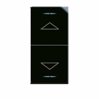 AVE 1P NO 10A DOUBL.PUSH-BUT.+ARROWS 1M — 442056F