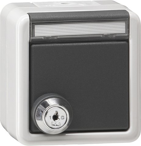 Gira SCHUKO socket outlet 16 A 250 V~ with hinged cover, inscription space and lock grey with identical lock types — 456930