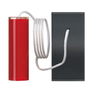 BTicino Pull - cord pushbutton1 P (NO) 10 A - 250 Vac — RG4033