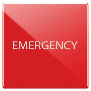AVE RED EMERG.PUSH BUT.NO+NC 10A S44 2M — 442025RS/2