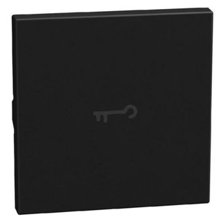 BTicino lightable key cover with key symbol, 2 modules dark, axial — YD4916FM2