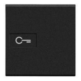 BTicino Key cover with illuminated lens - symbol key — L4916M2F