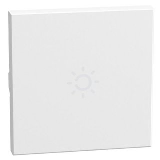 BTicino lightable key cover with lamp symbol, 2 modules white, axial — YW4916AM2