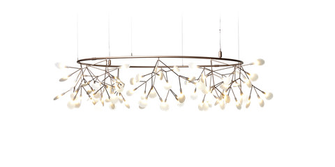 Moooi Heracleum III The Big O Small, Copper — manufacturer image