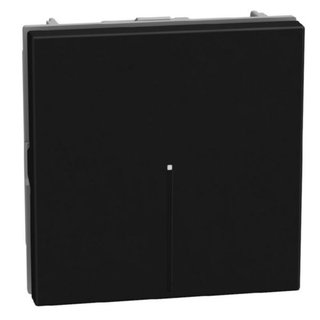 BTicino Pushbutton 1P NO 10A 2 modules dark, axial, lightable, automatic terminals — YD4055M2A