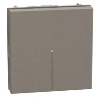 BTicino 4-way switch 1P 10AX 2 modules stone, axial, lightable, screw & plate terminals — YG4054M2