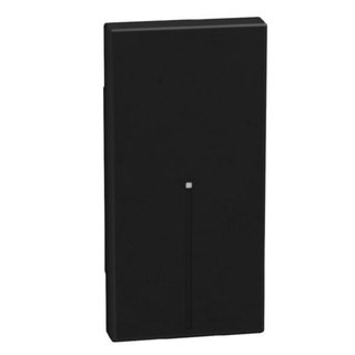 BTicino lightable key cover 1 module dark, axial — YD4916
