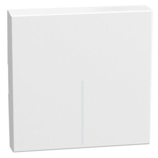 BTicino lightable key cover 2 modules white, rocker — YW4915M2