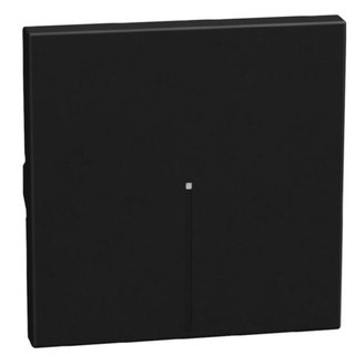 BTicino lightable key cover 2 modules dark, axial — YD4916M2