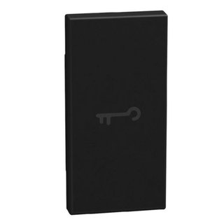 BTicino lightable key cover with key symbol, 1 module dark, axial — YD4916F