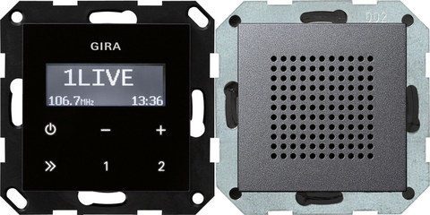 Gira RDS FM radio speaker System 55 anthracite — manufacturer representative image