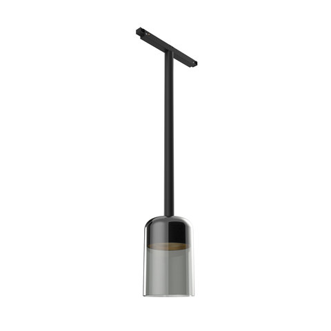 Flos Suspension Glass Downlight 110 Black Rod 400 mm On Board Dimmer — manufacturer representative image