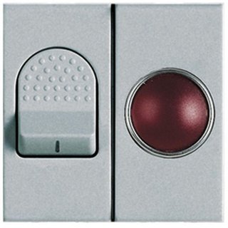 BTicino 33 A - 2 P switch module with neon — NT4011S