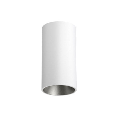 Flos Light Shadow Pro Ø45 Surface Flood — manufacturer representative image