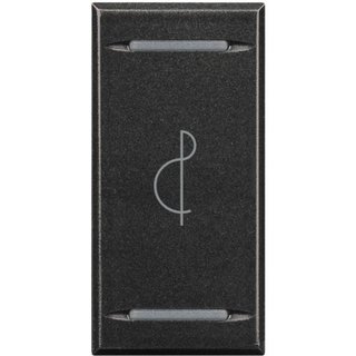 BTicino Key cover for 2 functions with illuminated lens - with screen printing symbol 'treble clef' — HS4911BE