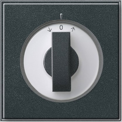 Gira Cover with toggle switch for time switch and blind switch or button anthracite — 066667