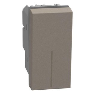 BTicino 2P 1-way switches 16 A 250 V - lightable with LED lamps - 1 module - stone — YG4002
