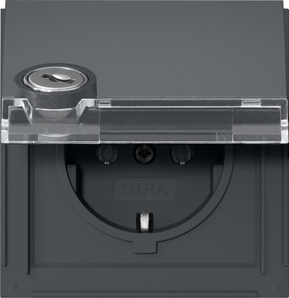 Gira SCHUKO socket outlet 16 A 250 V~ with hinged cover, inscription space and lock anthracite with different lock types — 446767