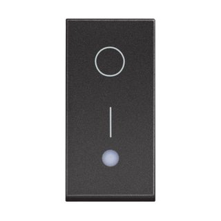 BTicino One-way switch 2P 16 AX - 250 Vac - lightable — RG4002L