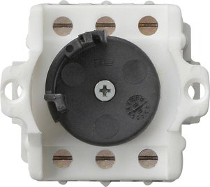 Gira Key switch insert 10 AX 250 V~ Switch 2-pole — 143400