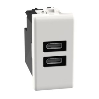 BTicino USB charger with 2 type C ports - 20W — AM4192CC