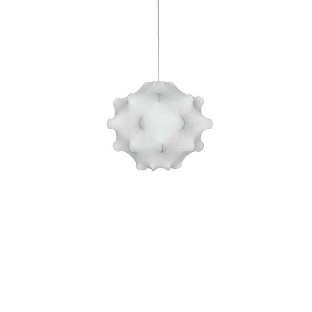 Flos Taraxacum 1 — F7401009