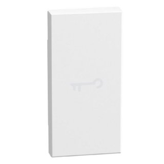 BTicino lightable key cover with key symbol, 1 module white, axial — YW4916F