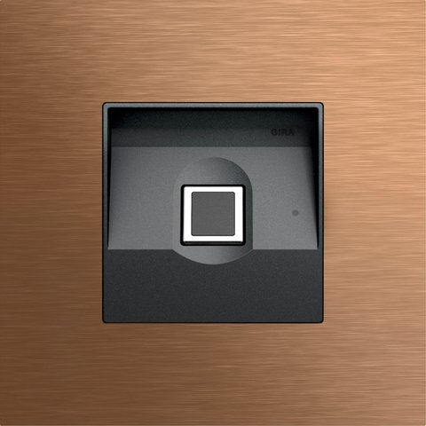 Gira System 106 Keyless In fingerprint module bronze — 5551921