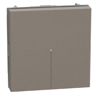 BTicino Pushbutton 1P NO 10A 2 modules stone, axial, lightable, automatic terminals — YG4055M2A