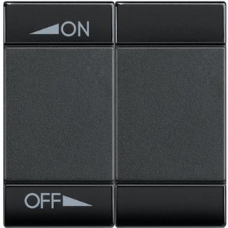BTicino Key cover for 2 functions with with screen printing ON OFF and setting — L4911M2AIN