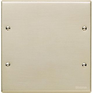 BTicino Cover plate blank — 999