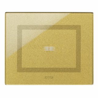 AVE VERATOUCH FRONT PLATE GOLD 1CON — 44PVTC01GOLD