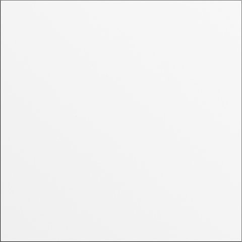 Gira System 106 blank module traffic white (laquered) — 5568902