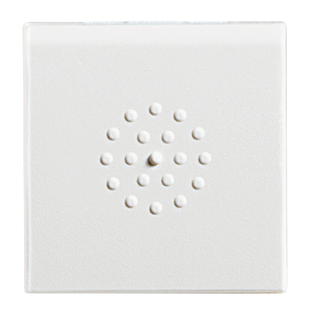 BTicino Neutral key cover for items L4036, L4038R, L4038V — N4916DP