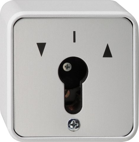 Gira Key switch 10 AX 250 V~ for all DIN profile semi-cylinders grey Switch 2-pole — 014430